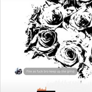 Meet your Posher, Timothy